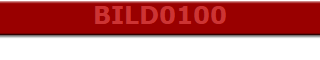 BILD0100