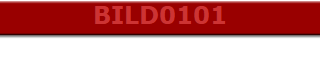 BILD0101