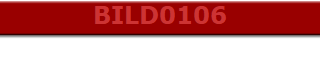 BILD0106