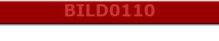 BILD0110