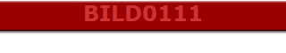 BILD0111