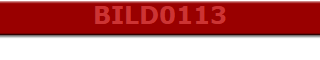 BILD0113