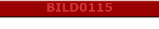 BILD0115