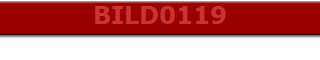 BILD0119