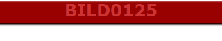 BILD0125
