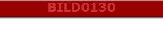 BILD0130