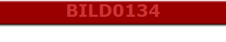 BILD0134