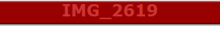 IMG_2619