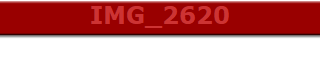 IMG_2620