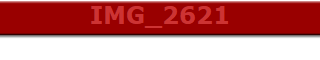 IMG_2621