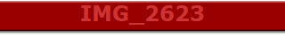 IMG_2623