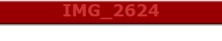 IMG_2624
