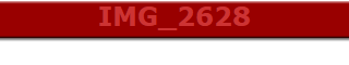 IMG_2628