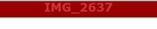 IMG_2637