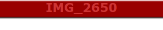 IMG_2650