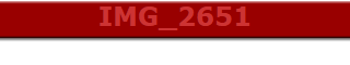 IMG_2651