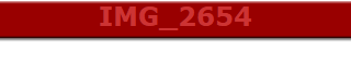 IMG_2654