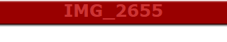 IMG_2655