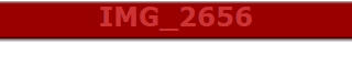 IMG_2656