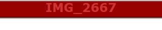 IMG_2667
